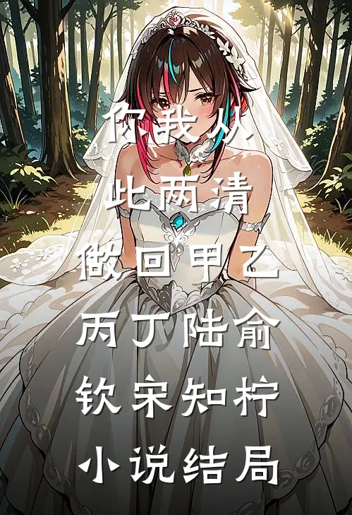 你我从此两清，做回甲乙丙丁陆俞钦宋知柠小说结局