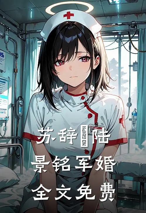 苏辞玥陆景铭军婚全文免费