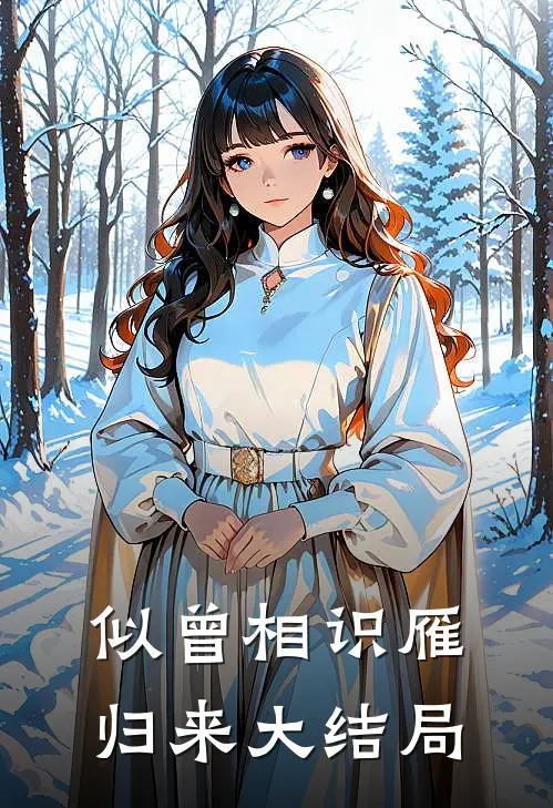 似曾相识雁归来大结局